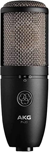 Micrófono de condensador de doble cápsula AKG Pro Audio