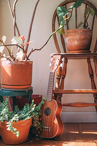 Ukelele Soprano de Caoba Satinada Kala con Ribete Blanco - Imagen 5