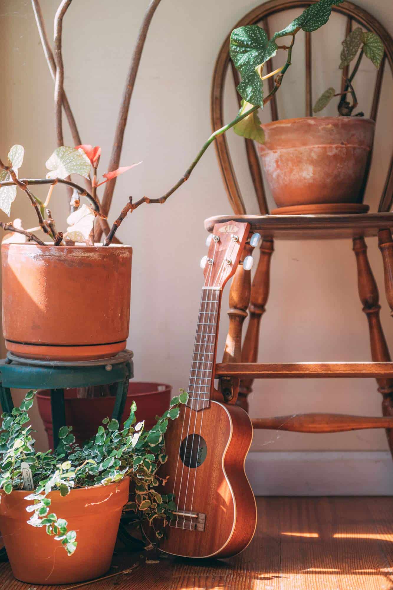 Ukelele Soprano de Caoba Satinada Kala con Ribete Blanco - Imagen 3