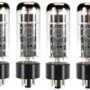 Mullard EL34 Power Vacuum Tube, Quad de Platino Emparejado