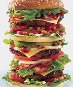 Rompecabezas Majestic 20 pulgadas x 27 pulgadas 1000 piezas