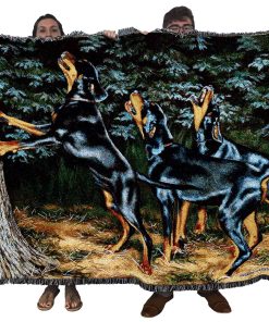 Manta Doberman Pure Country Weavers Night Song por Bob