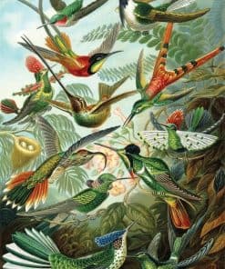 Rompecabezas de Madera de Colibríes de Haeckel de Artifact