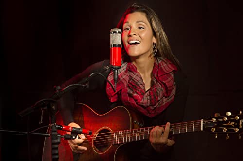 Conjunto de Micrófonos MXL 550/551R con Micrófono de - Imagen 5