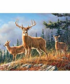 Rompecabezas Ciervos de Otoño de 2000 Piezas (Artista -