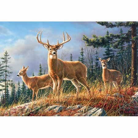 Rompecabezas Ciervos de Otoño de 2000 Piezas (Artista -