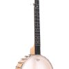 Banjo Gold Tone Bob Carlin BC-350 (Cinco Cuerdas, Arce