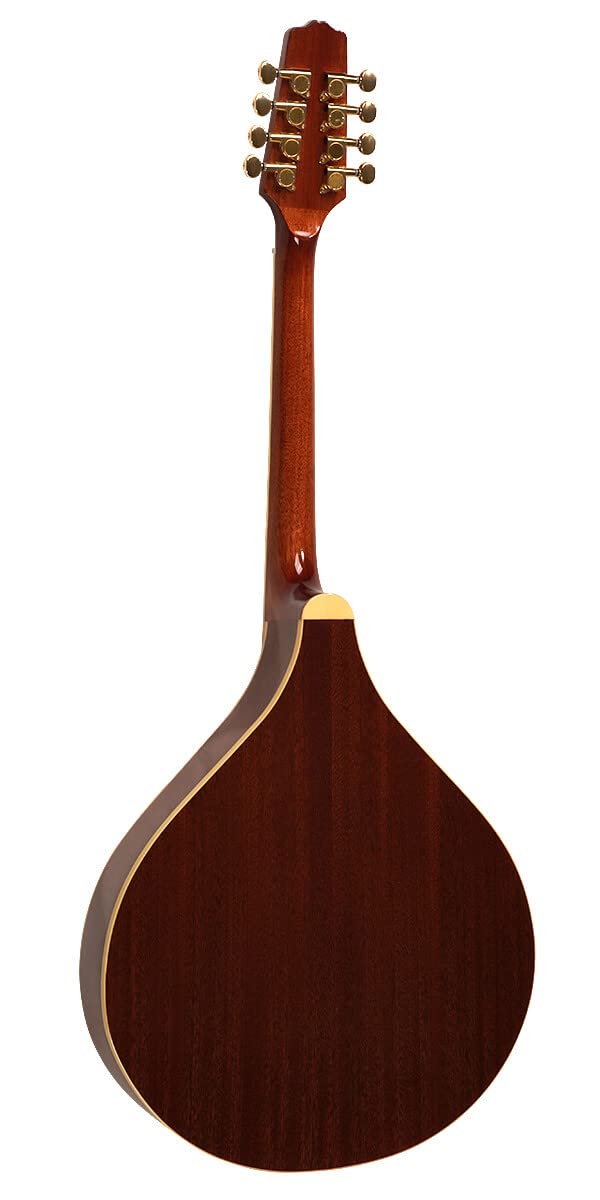 Mandolina octavada Gold Tone OM-800+ (Caoba) - Imagen 3