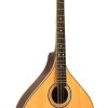 Mandolina octavada Gold Tone OM-800+ (Caoba)