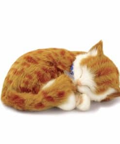 Perfect Petzzz - Original Petzzz Gato de Tabby Naranja,