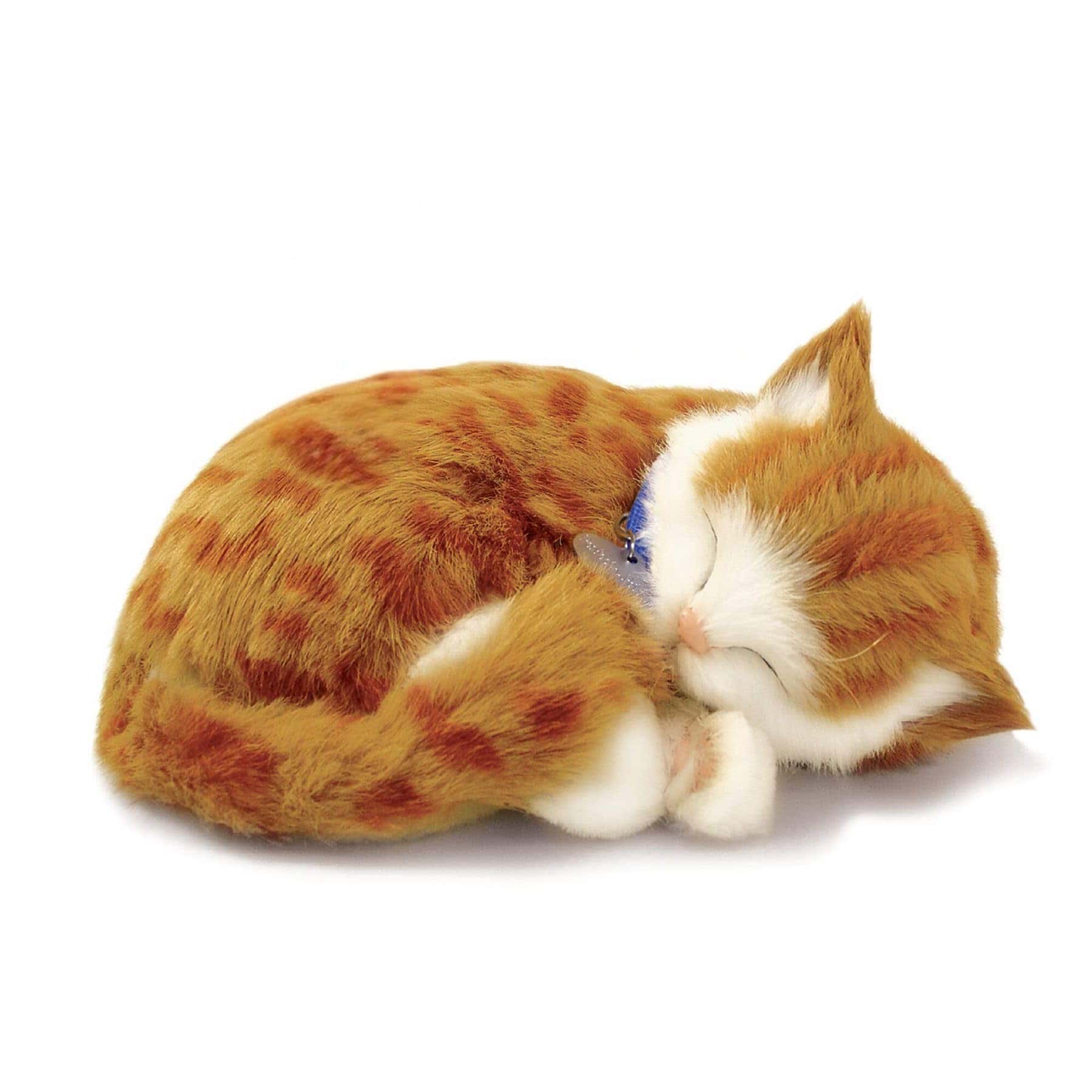 Perfect Petzzz - Original Petzzz Gato de Tabby Naranja,