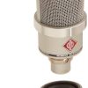 Micrófono de Condensador Neumann TLM 102, Níquel
