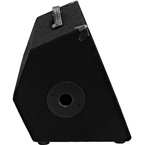 Seismic Audio - SA-10M.3 - Altavoces de Monitor de - Imagen 5