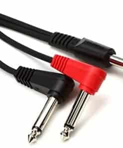 Cable de instrumento Roland PCS-31L 1/4 pulgadas macho a 2