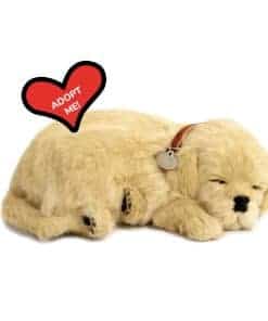 Perfect Petzzz - Original Petzzz Golden Retriever, Peluche