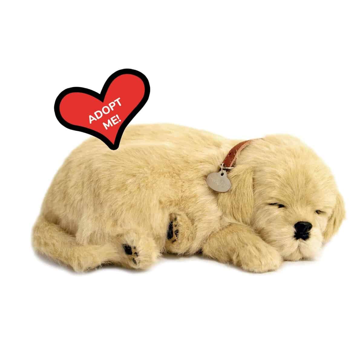 Perfect Petzzz - Original Petzzz Golden Retriever, Peluche