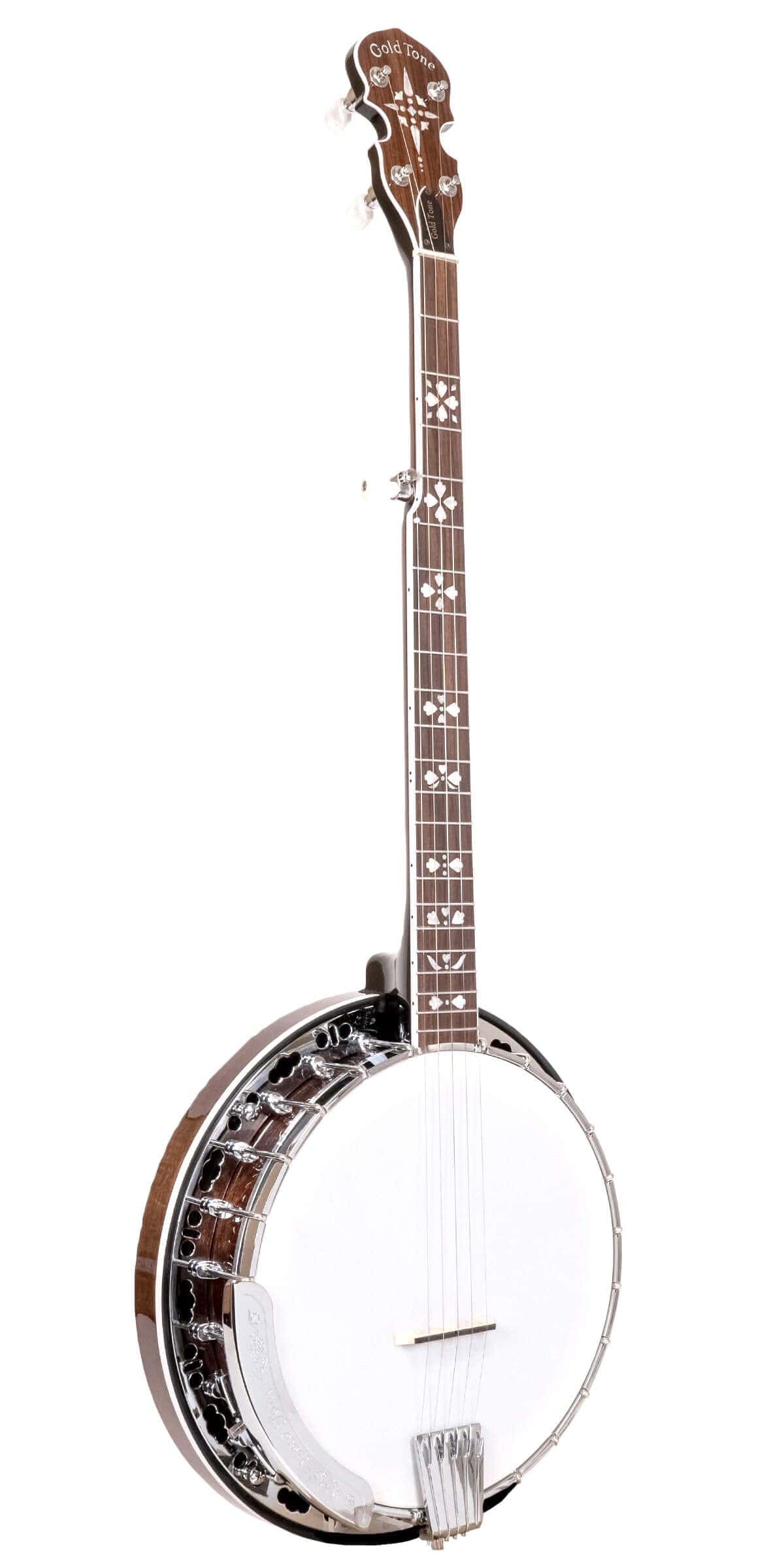 Banjo Gold Tone BG-150F