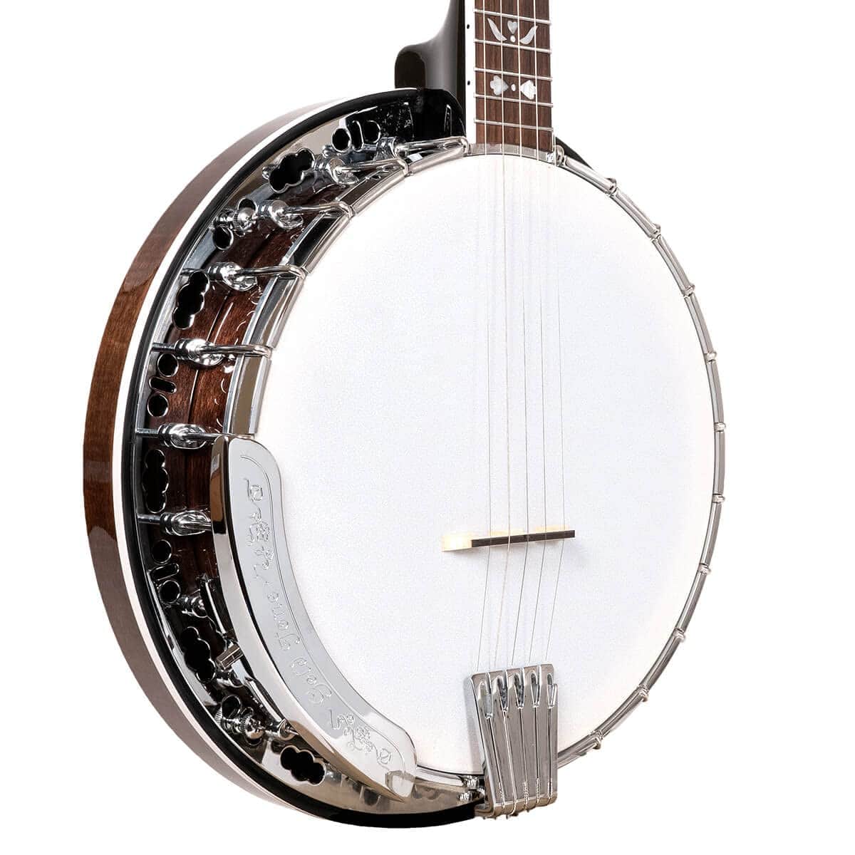 Banjo Gold Tone BG-150F - Imagen 4