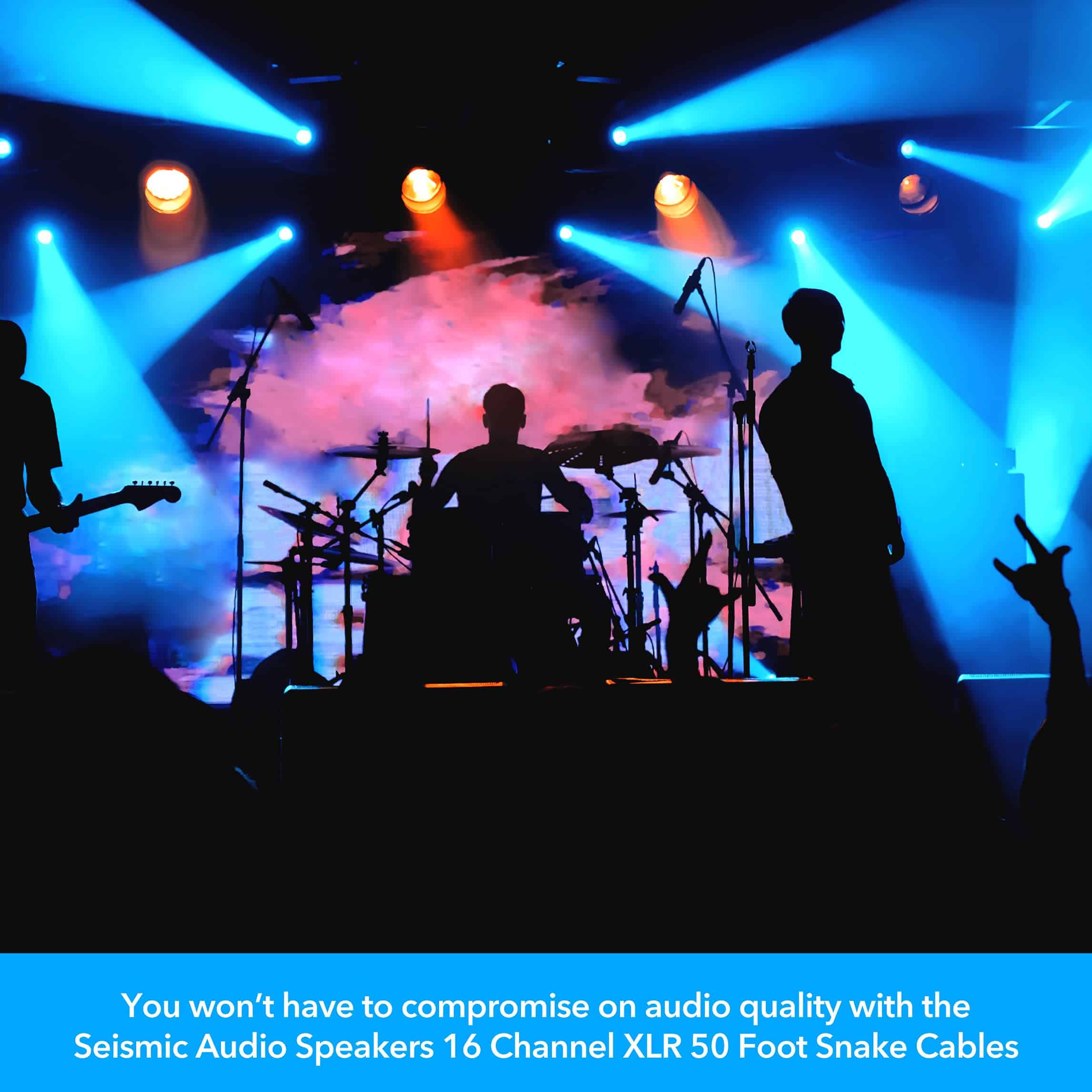 CABLE DE SERPIENTE XLR DE 16 CANALES DE Seismic Audio - 50 - Imagen 7