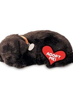 Perfect Petzzz - Original Petzzz Black Lab, Peluche