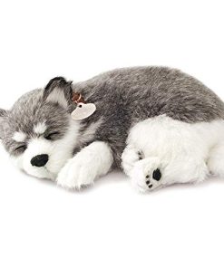 Mascota Perfecta - Original Mascota Alaskan Husky de