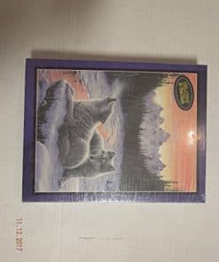 Rompecabezas de 550 Piezas Amanecer Invernal que Brilla en