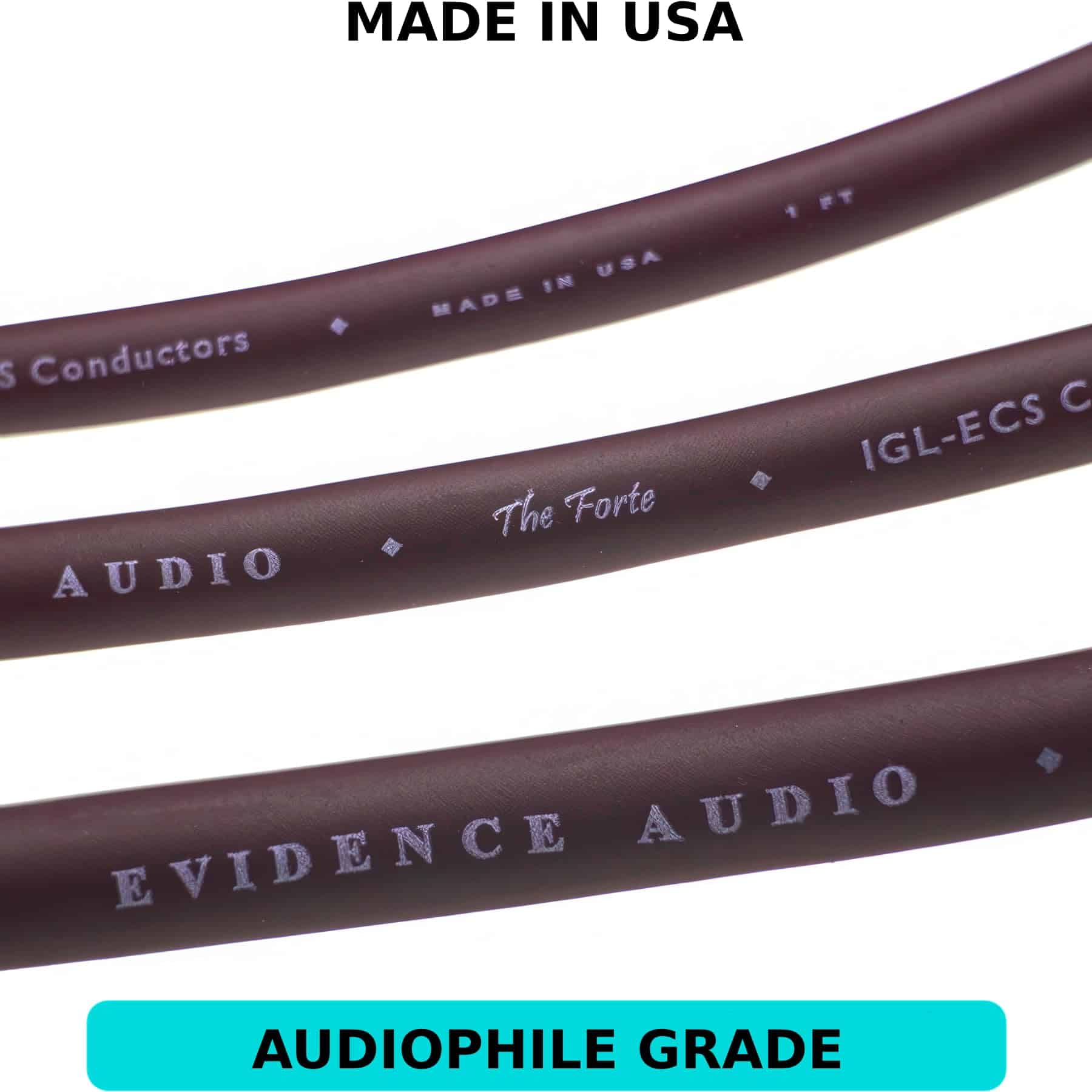 Cable de Instrumento Evidence Audio The Forte Recto a - Imagen 6
