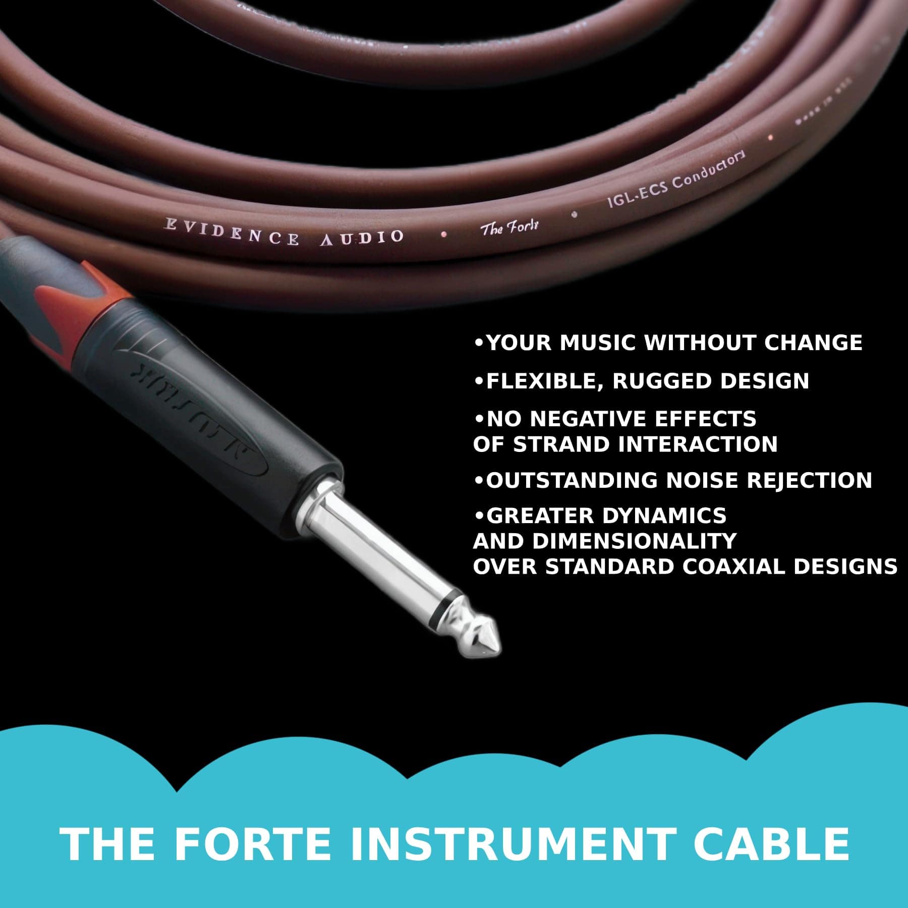 Cable de Instrumento Evidence Audio The Forte Recto a - Imagen 7