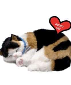 Perfect Petzzz - Original Petzzz Gato Calico, Juguete de