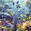 Rompecabezas Ravensburger Underwater Paradise - 9000 Piezas