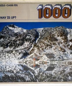 Rompecabezas de 1000 Piezas ¿Cuál es el Camino Hacia