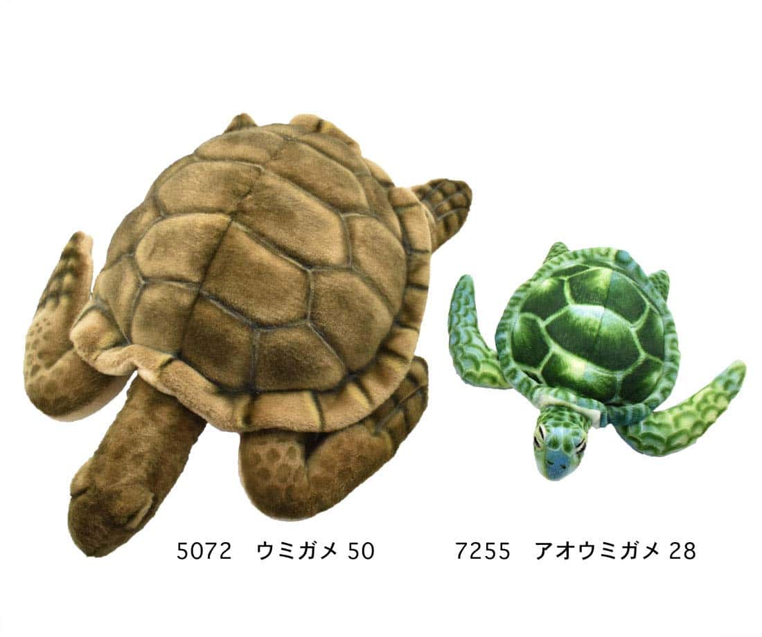 Tortuga marina Hansa de 20''L - Imagen 10