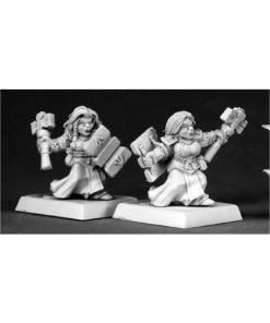 Pack de Ejército de Miniaturas de Enanas Valkirias REAPER a