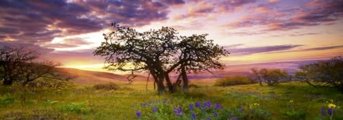 Rompecabezas panorámico de 2000 piezas del Roble de Heye - Imagen 5