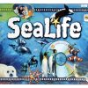 Juego Identity Games Sea Life