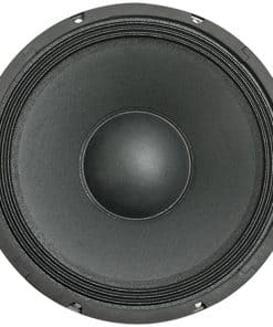 Altavoz de 12" Seismic Audio - Woofer/Speaker - PA/DJ -