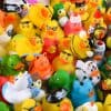Juego de 100 Patitos de Hule Variados Rhode Island Novelty