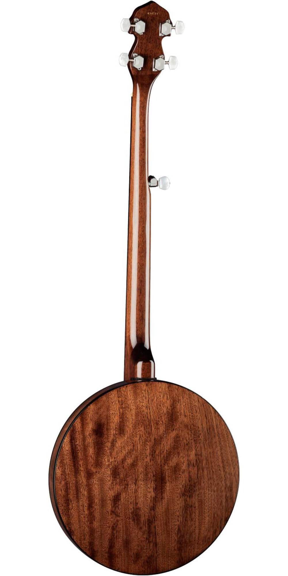 Banjo Dean Backwoods 2 Acoustic-Electric de 5 Cuerdas - Imagen 5