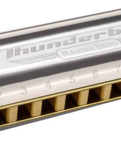 Armónica Hohner Inc, USA Thunderbird Low Tuned, en la clave