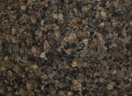 Almohada de Trigo Sarraceno ZEN CHI - Tamaño Estándar - Imagen 8