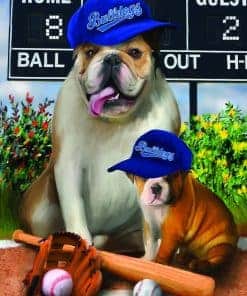 Rompecabezas de 1000 piezas Play Ball de SunsOut Tema: