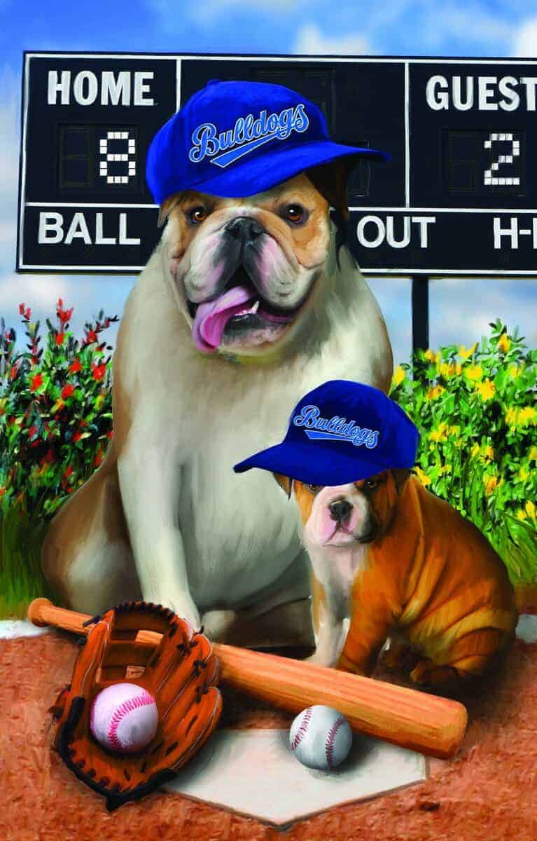 Rompecabezas de 1000 piezas Play Ball de SunsOut Tema: