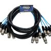 Elite Core PEX810 | Extensión de Serpiente XLR de 8 Canales