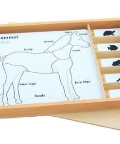 Set de actividades de rompecabezas de animales Elite