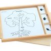 Set de Actividad de Rompecabezas de Botánica Montessori