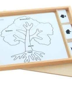 Set de Actividad de Rompecabezas de Botánica Montessori