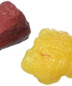 Réplicas Nasco Lifeform de 1 Lb. de Músculo y Grasa por
