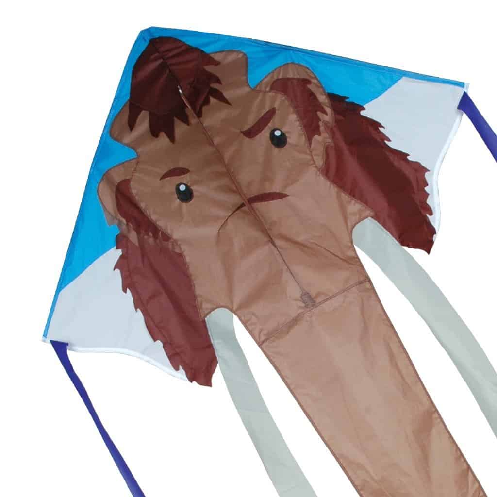 Cometa Grande Wooly Easy Flyer