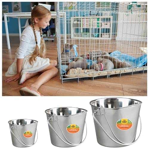 Cubo Plano Pesado de Acero Inoxidable para Mascotas Advance - Imagen 6