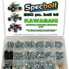 Kit de Pernos Kawasaki KFX450R KFX700 ATV de 250 piezas